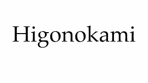 Хигоноками
